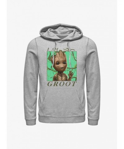 Marvel Guardians of the Galaxy Jungle Vibes Hoodie $12.21 Hoodies